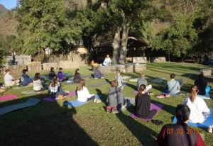 yoga teacher training course in rishikesh