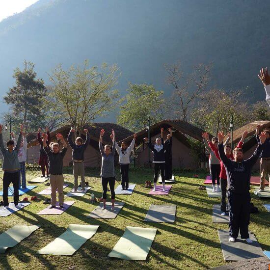 BEST YOGA TEACHER TRAINING RISHIKESH INDIA visual data 7