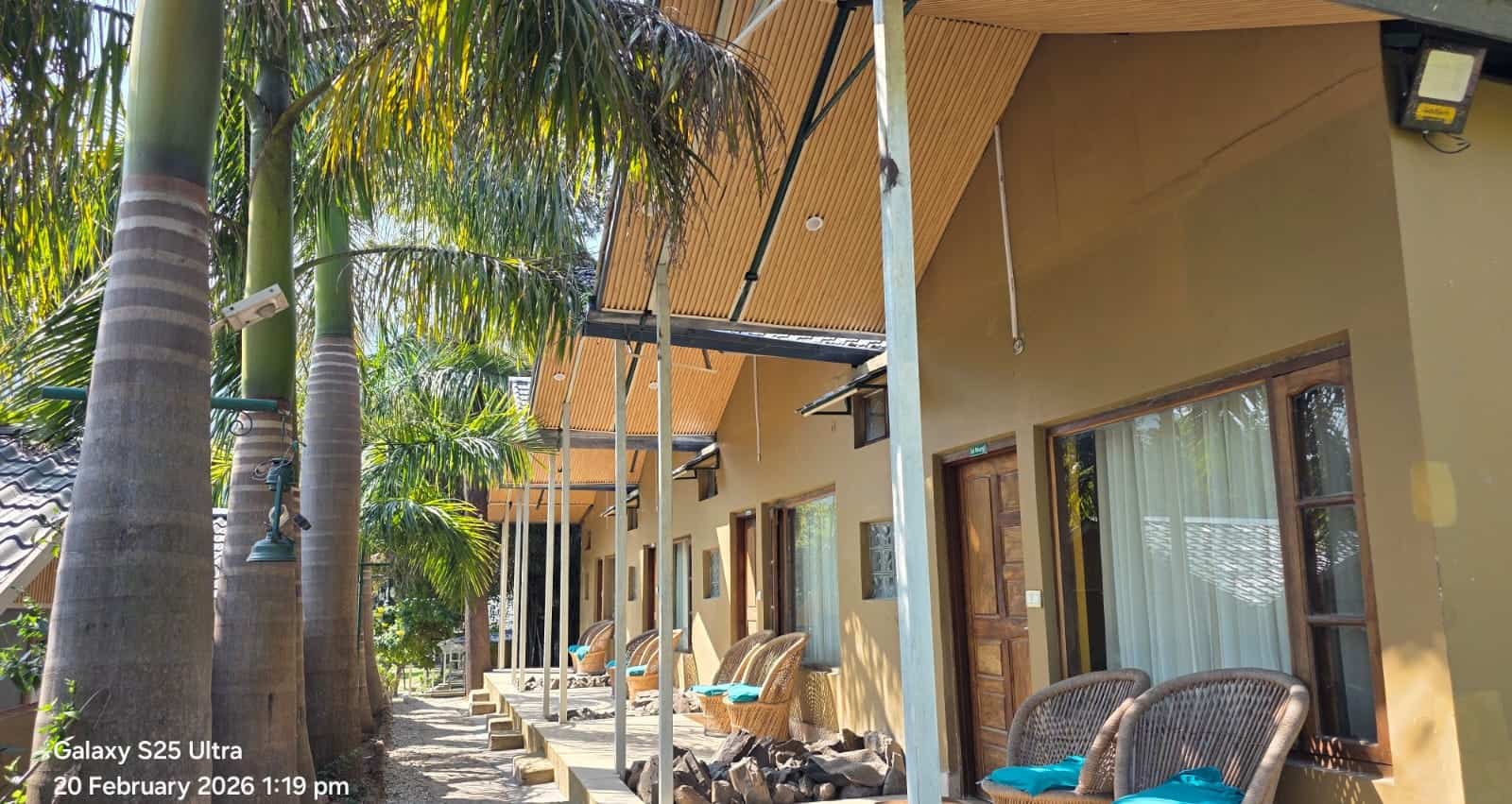 WhatsApp Image 2026-02-22 at 11.31.29 AM